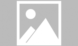 奇美拉 动漫,异种融合的奇幻冒险之旅